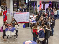 US Presidential Election 2016 - DAZ Election Night  Clinton vs Trump